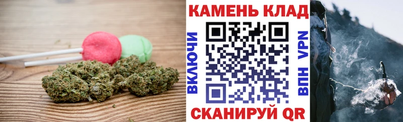 Купить где  Полевской  Canna-Cookies конопля 