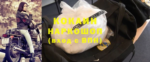 мдпв Инсар
