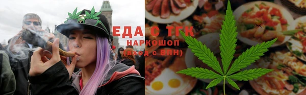 мдпв Инсар