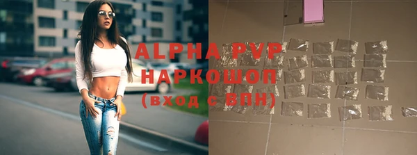 спиды Инта