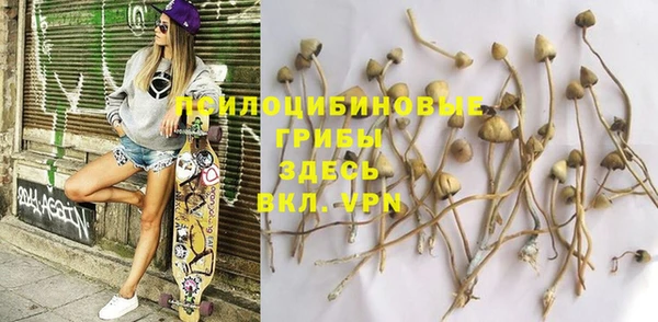 винт Зеленодольск