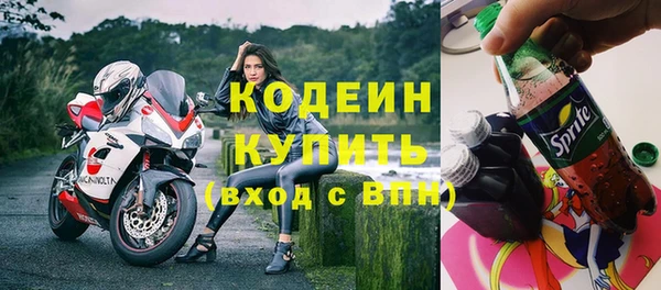 спиды Инта