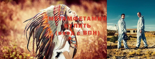 мдпв Инсар