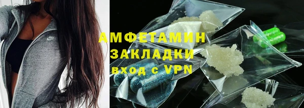 мдпв Инсар