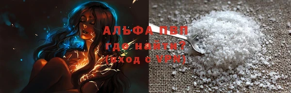мдпв Инсар